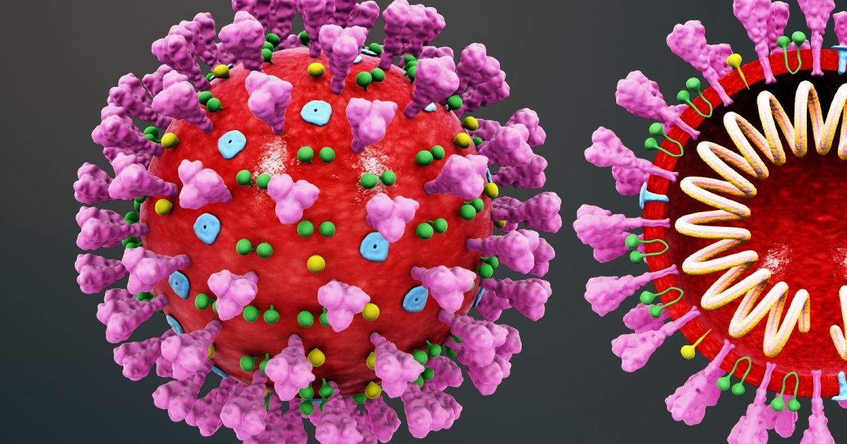 Simulação das estruturas do coronavírus. Foto: wikimidia commons