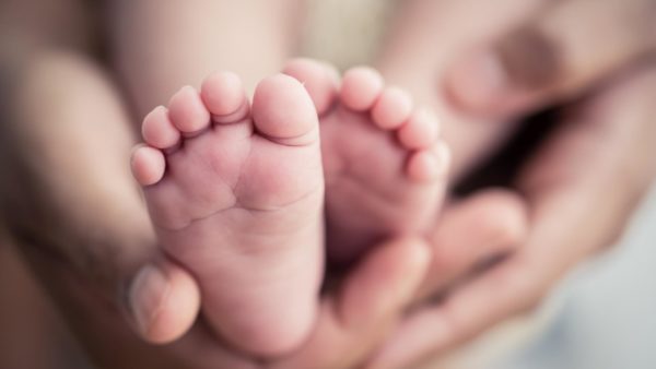 Projeto de Lei 361/2020 | Estende licenças maternidade e paternidade