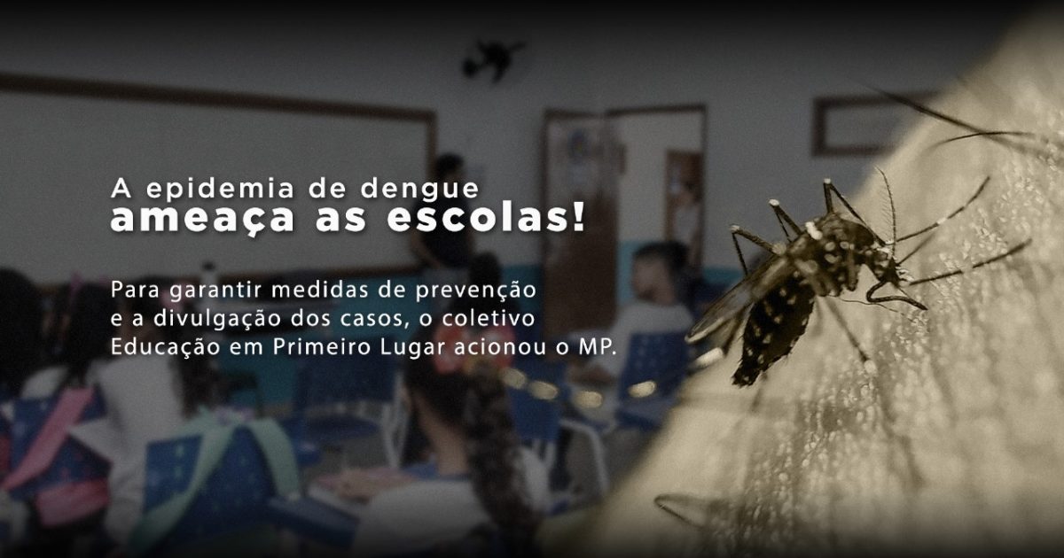 A cidade de São Paulo enfrenta a pior epidemia de dengue da história!